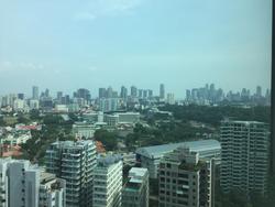 Park Infinia At Wee Nam (D11), Condominium #94874012